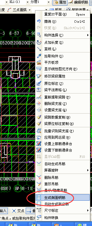 两跨梁