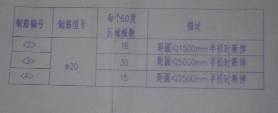 放射筋