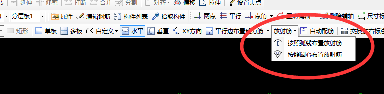 的放射筋