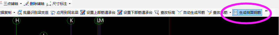 自动生成侧面钢筋