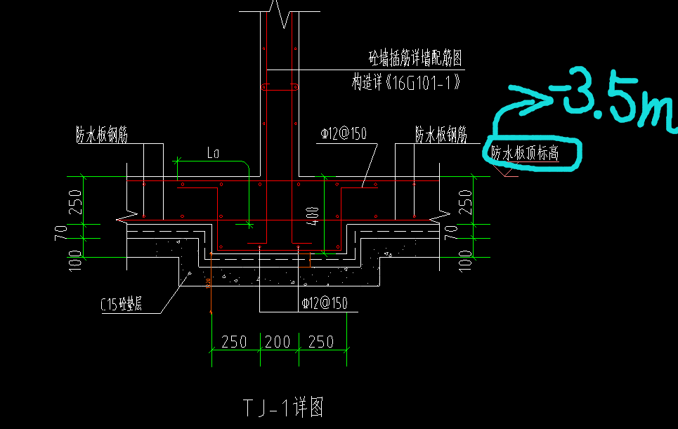 条基