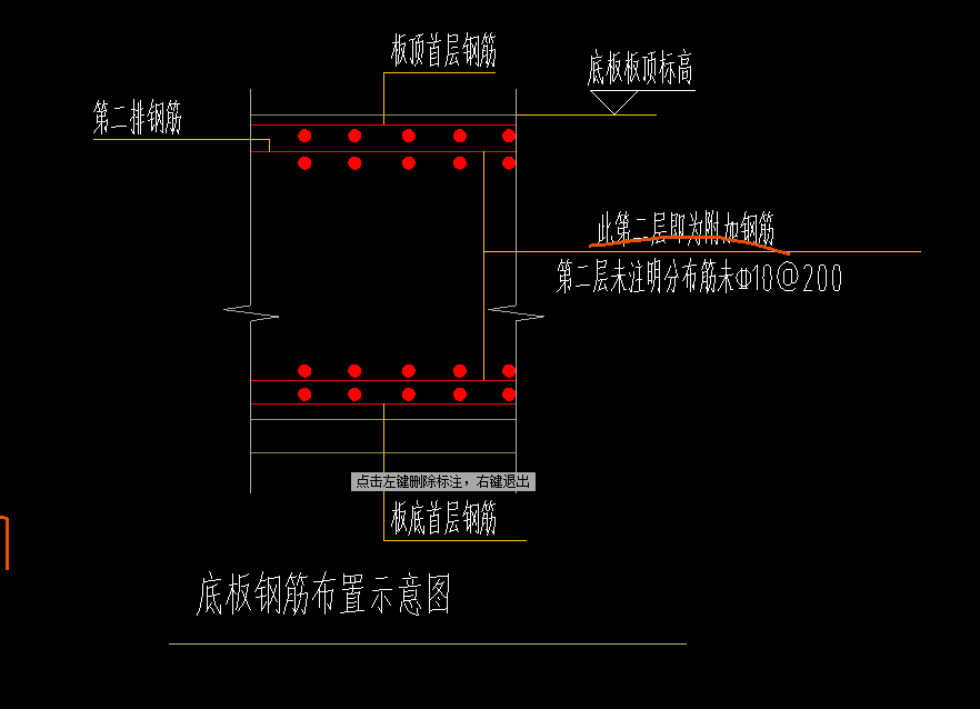 分布筋