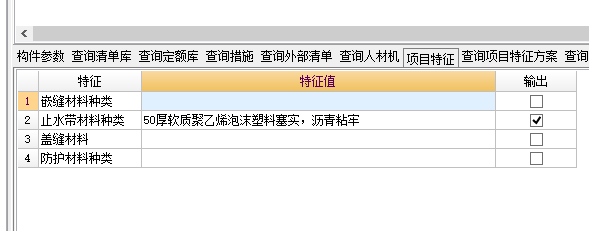 项目特征