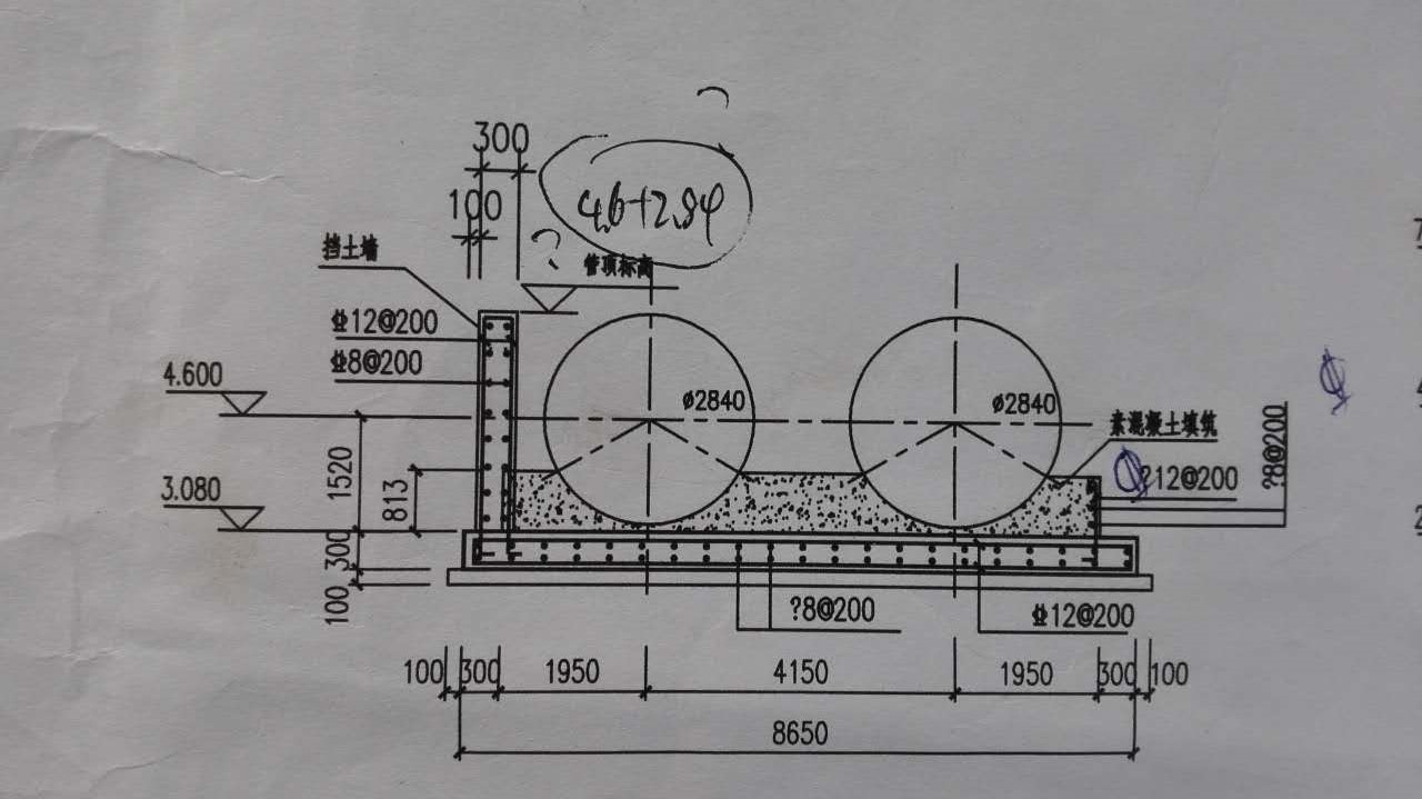 條基