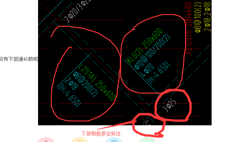 通長筋