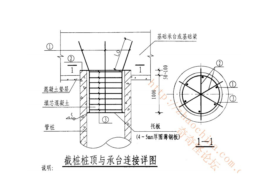 就是指固定托板伸入桩承台的钢筋,请看图片:答题:639被赞:317hu