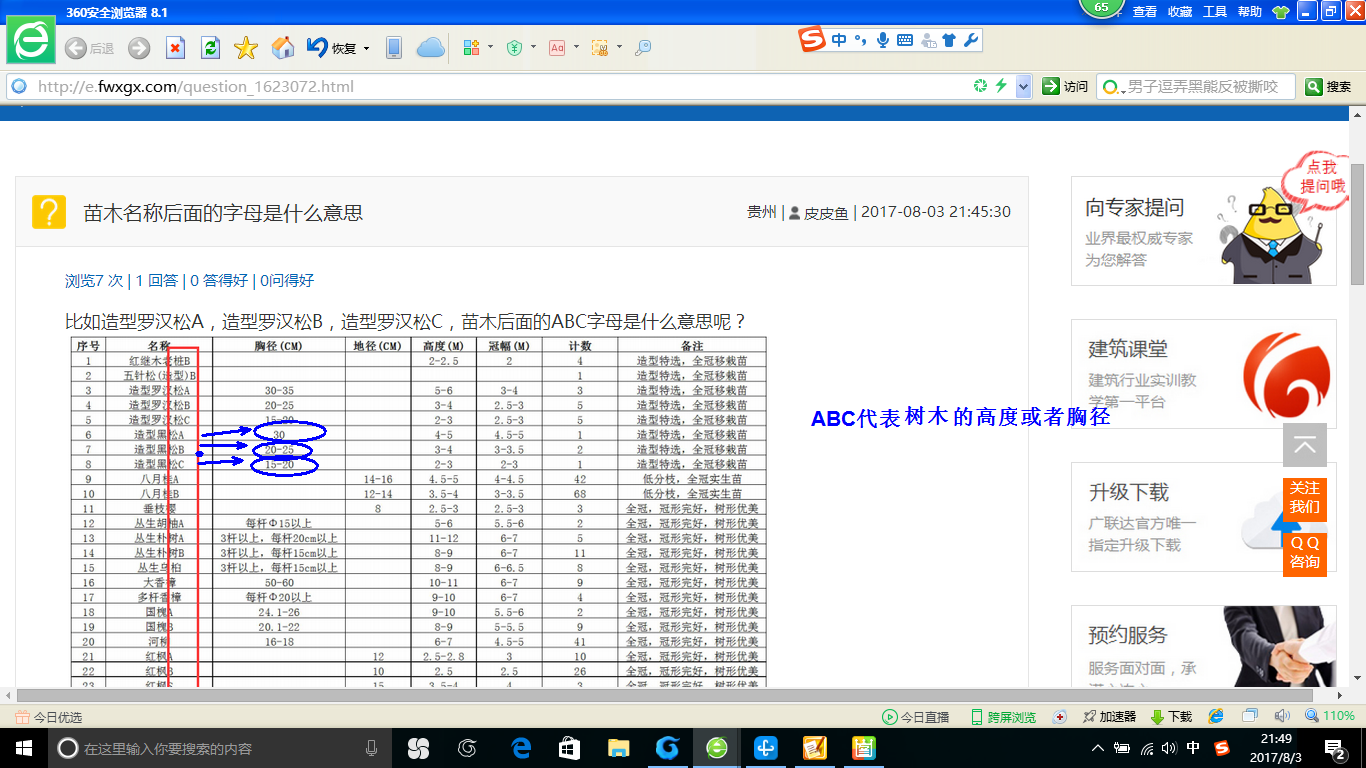 千赢官网首页登录入口服务新干线