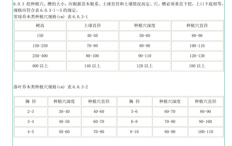 選擇定額