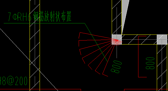 放射筋