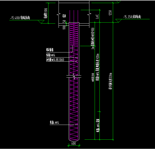 长螺旋钻孔灌注桩该怎么画?