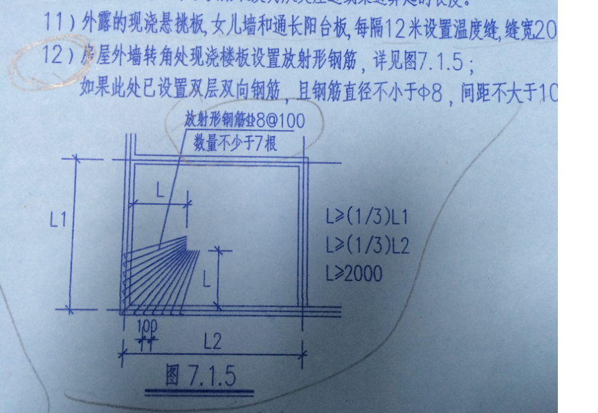 放射筋长度