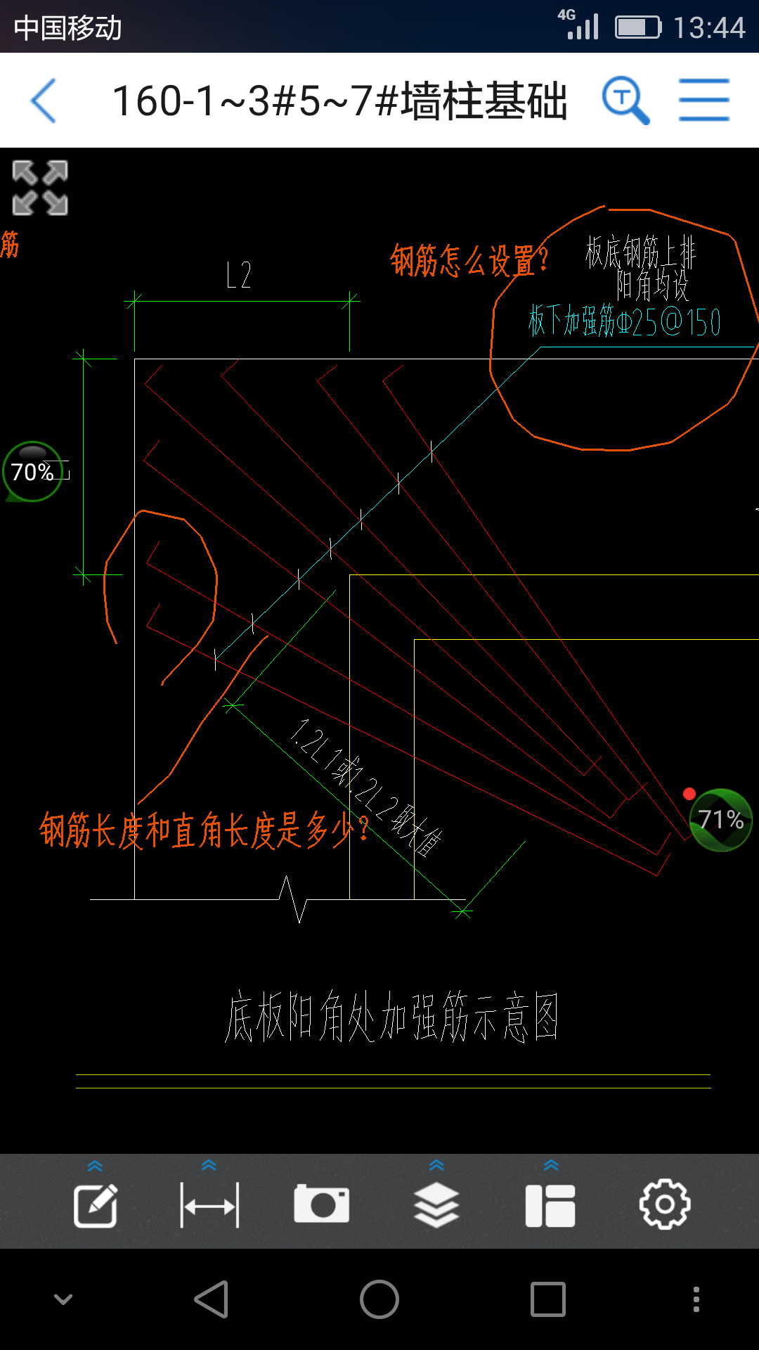 放射筋