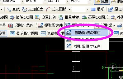 集中标注