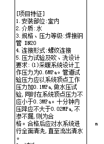 项目特征