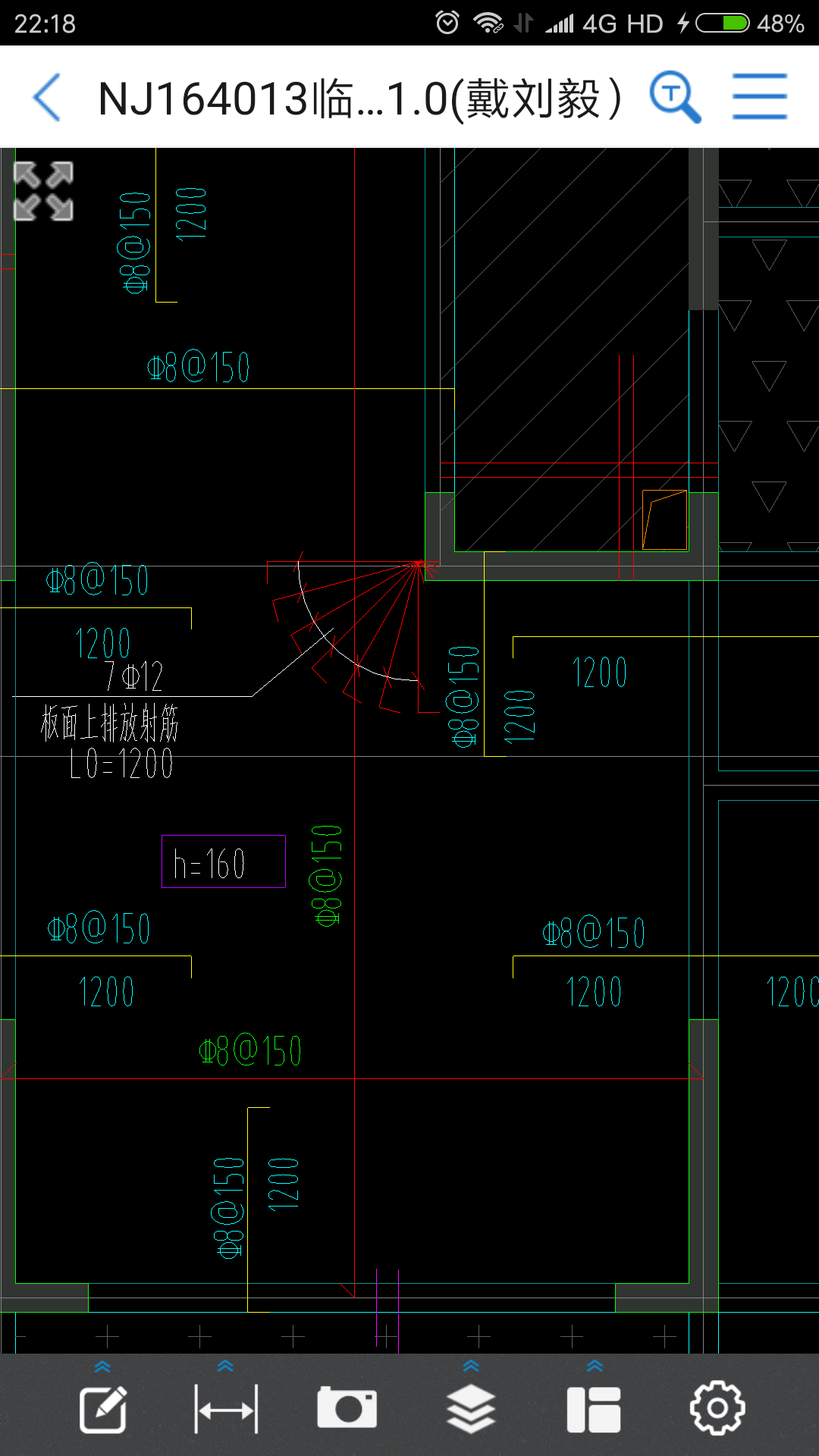 放射筋