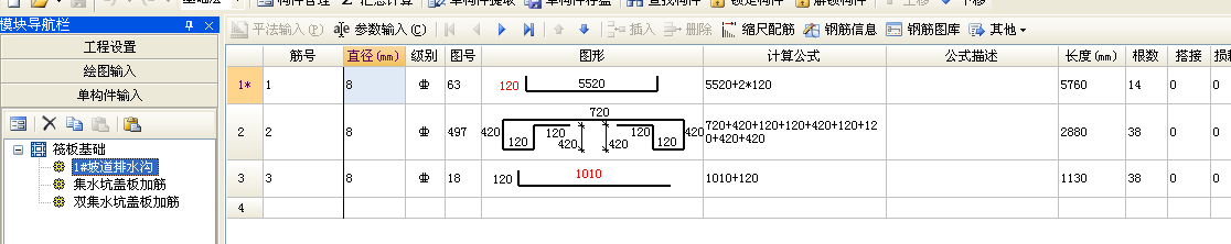 放射筋