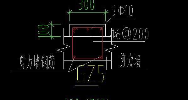 縱筋信息
