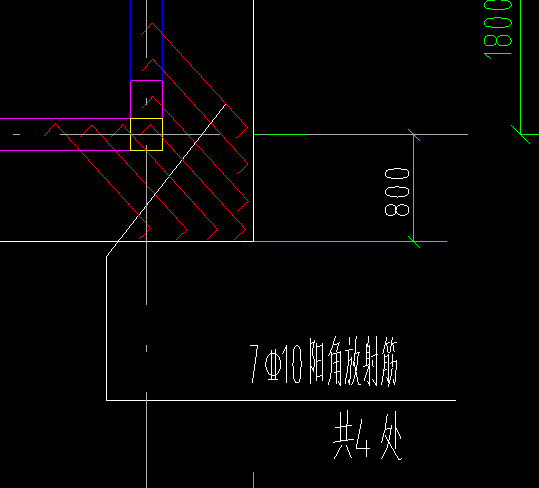 的放射筋