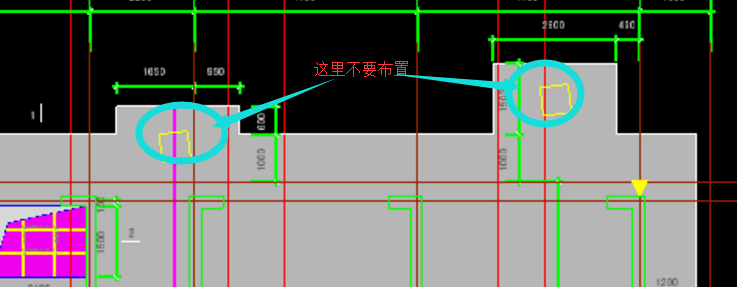 放射筋