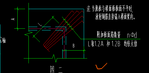 放射筋