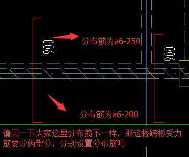 分布筋