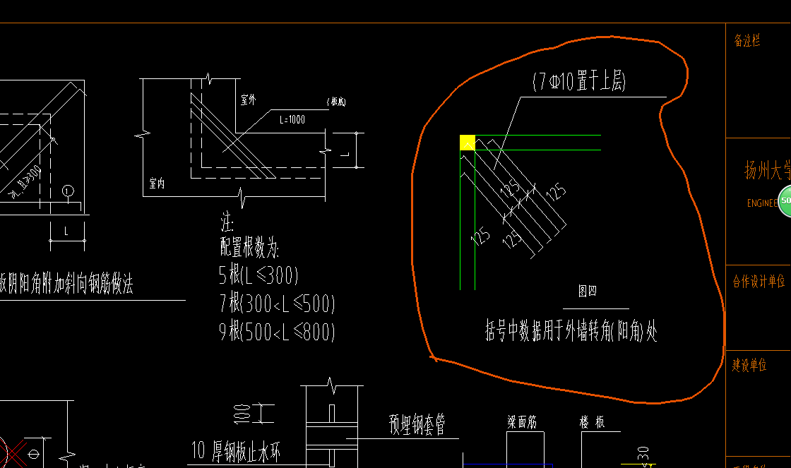 放射筋