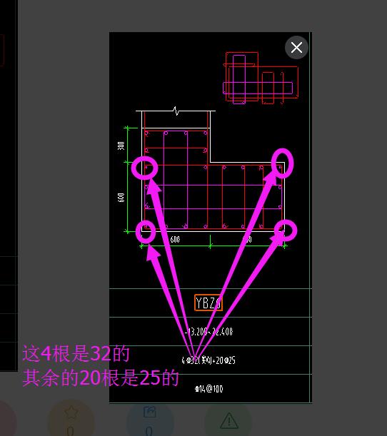 縱筋