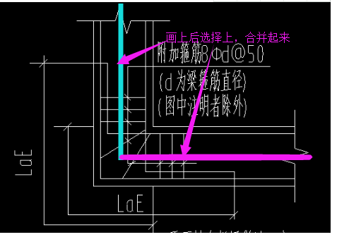 钢筋图