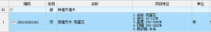 項目特征
