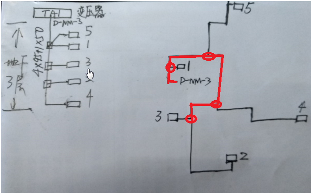 分支