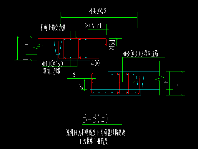 主肋梁