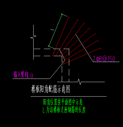 放射筋