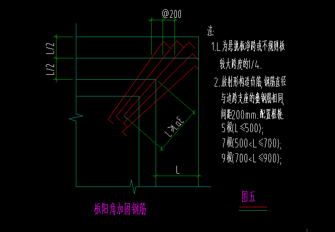 放射筋