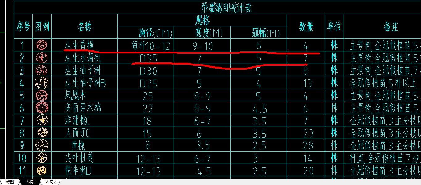 乔木