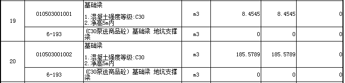 项目特征