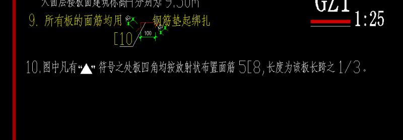 放射筋