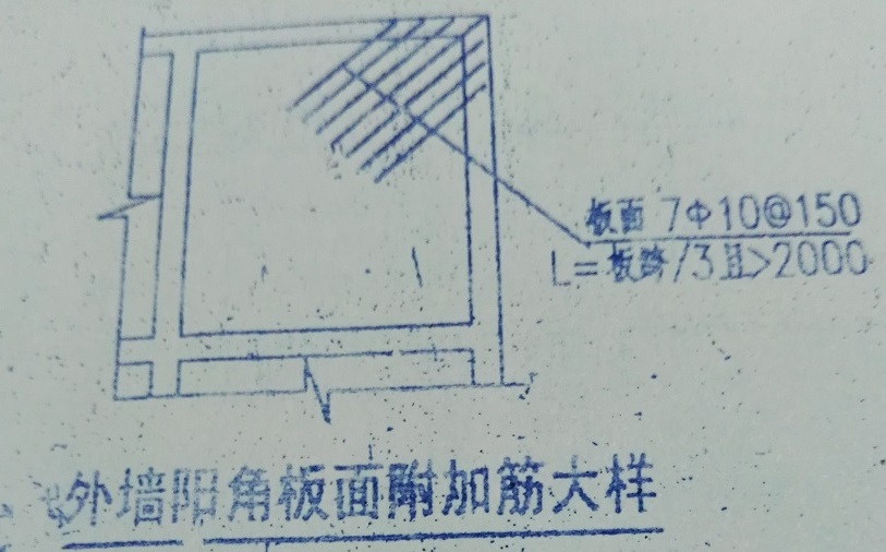 放射筋