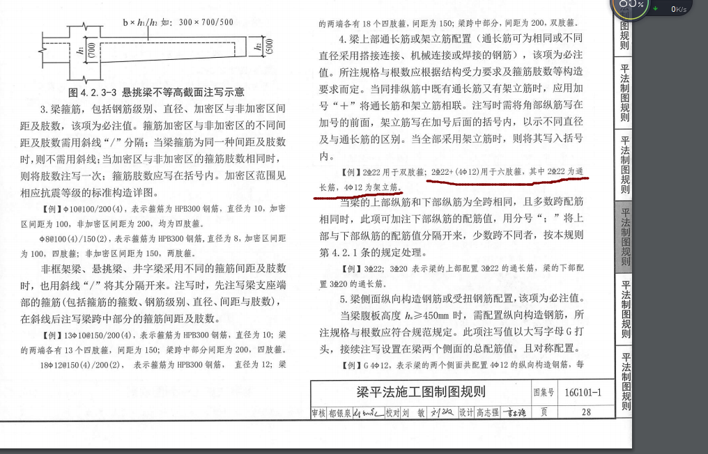 縱筋