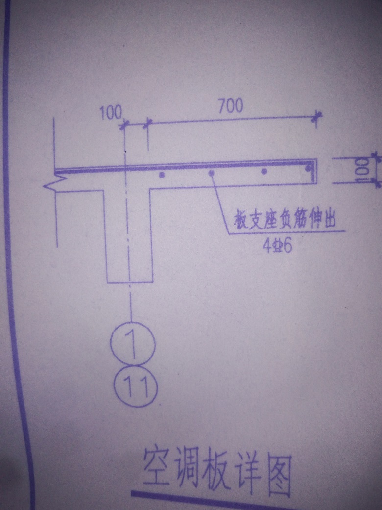 分布筋