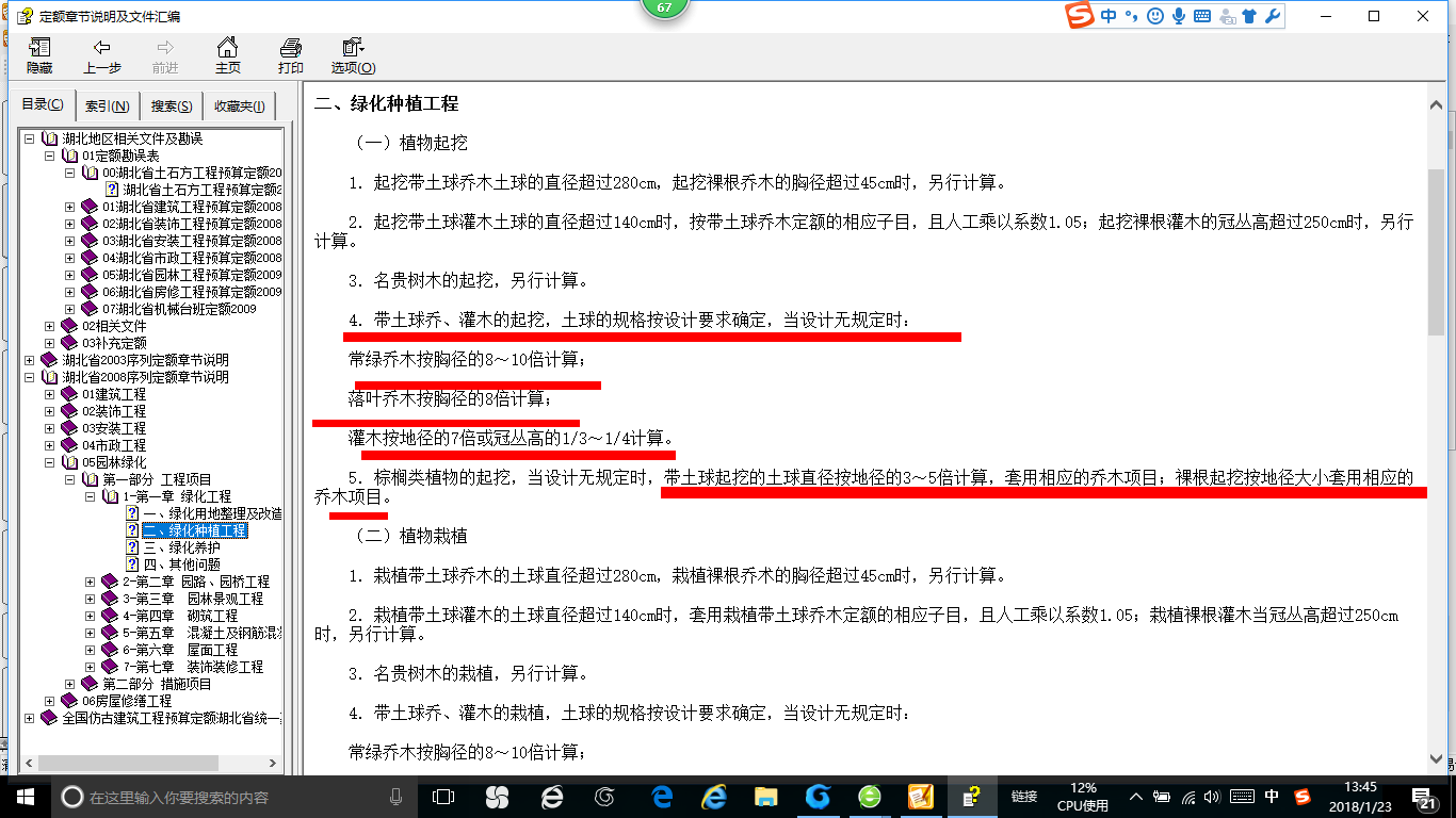 苗木
