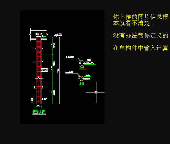 桩钢筋