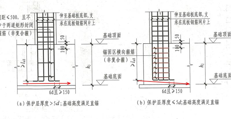 角筋
