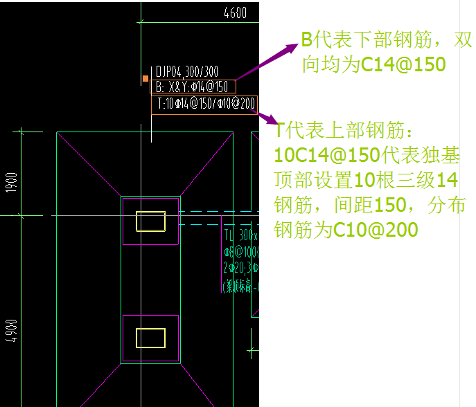 分布筋