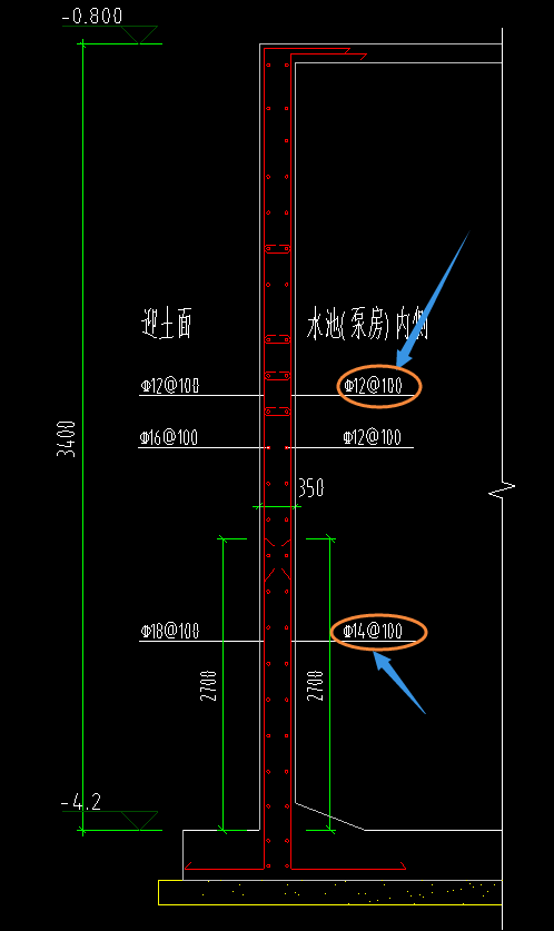 分布筋