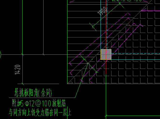 放射筋