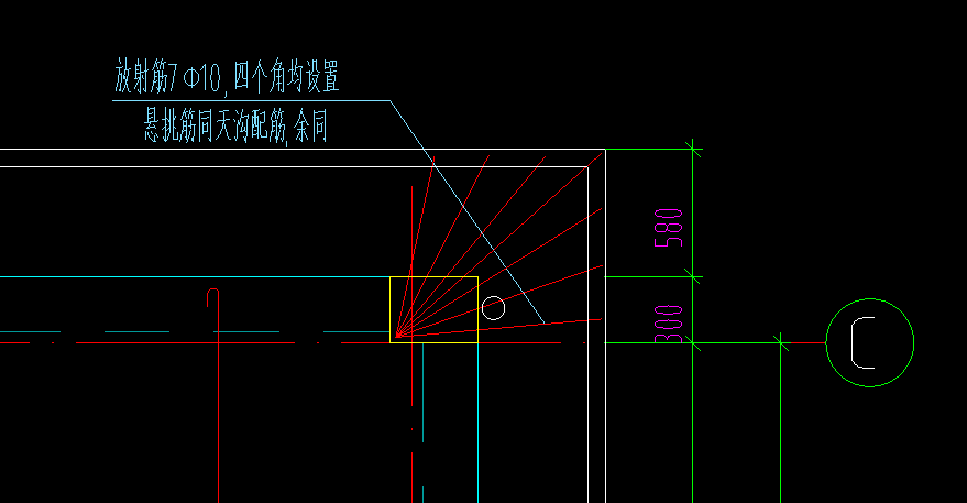 放射筋