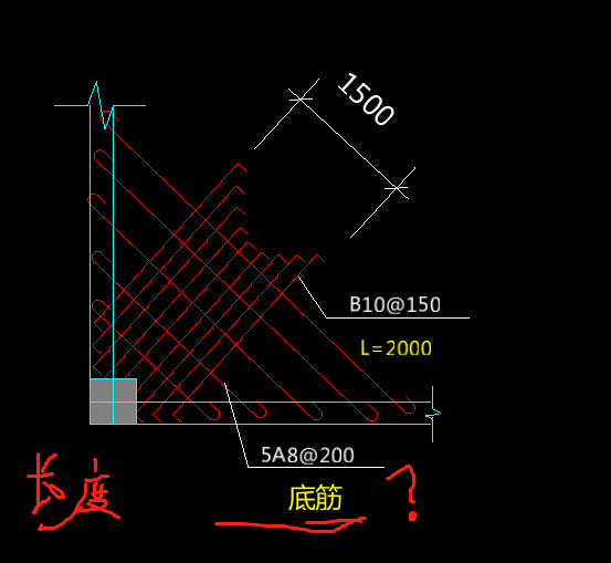 放射筋