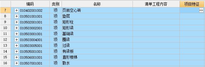 项目特征