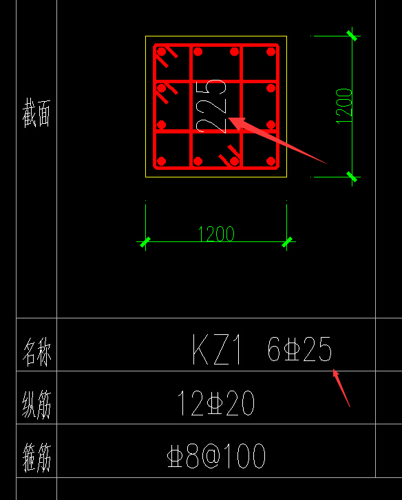 縱筋