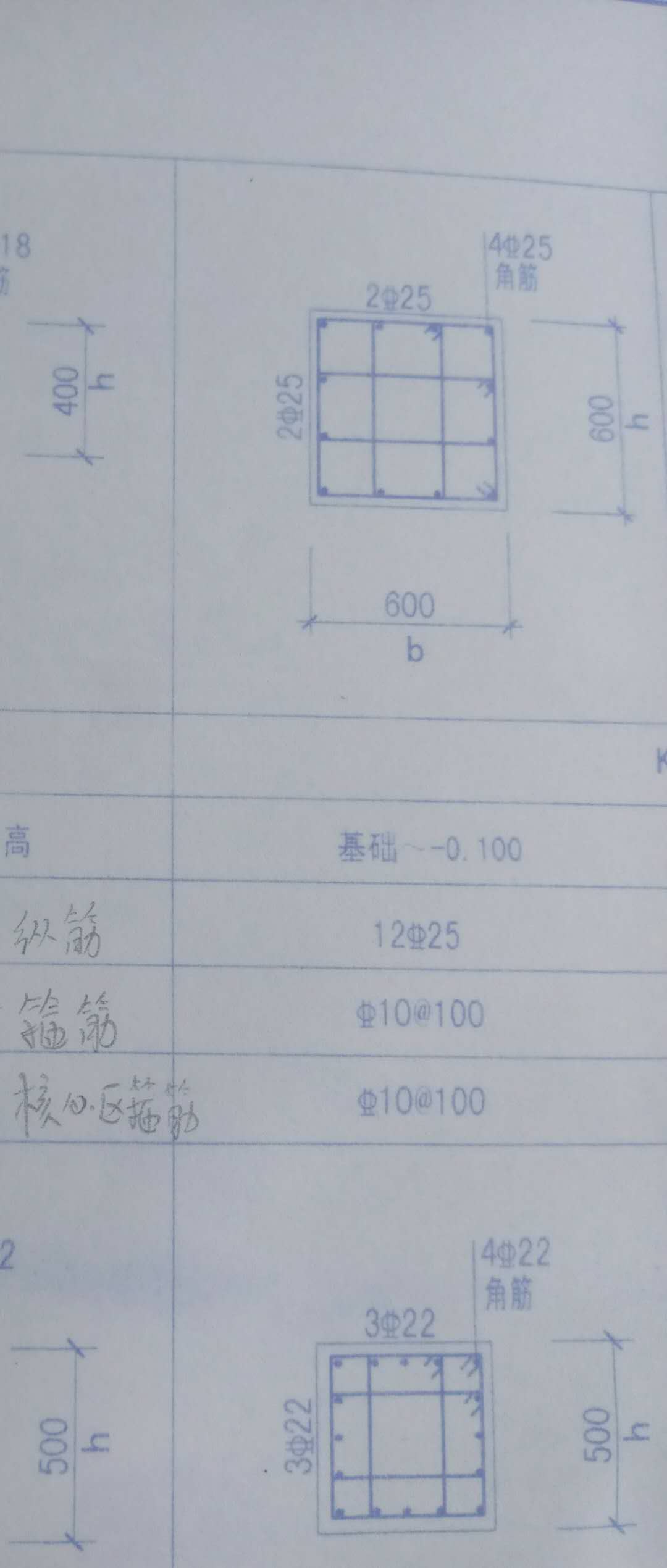 縱筋